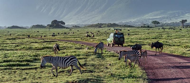 Czy Tanzania to bezpieczne miejsce na wakacje? Sprawdź, co warto wiedzieć!