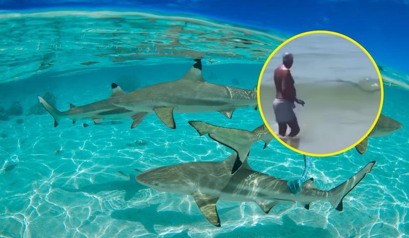 Bezpieczeństwo kąpieli Albania