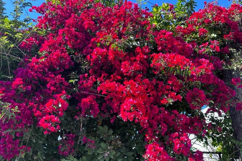 Gdzie na wakacje w kwietniu? Sprawdź, gdzie jest ciepło w tym miesiącu!