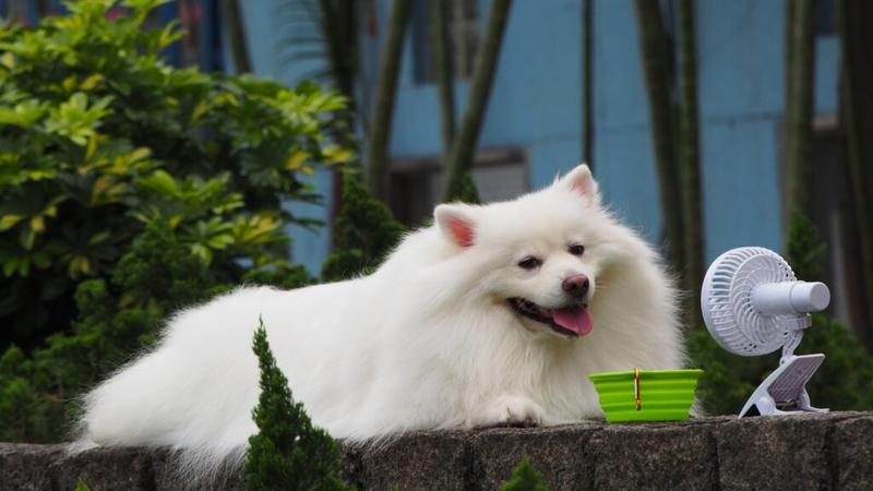 Destynacje dla miłośników przyrody