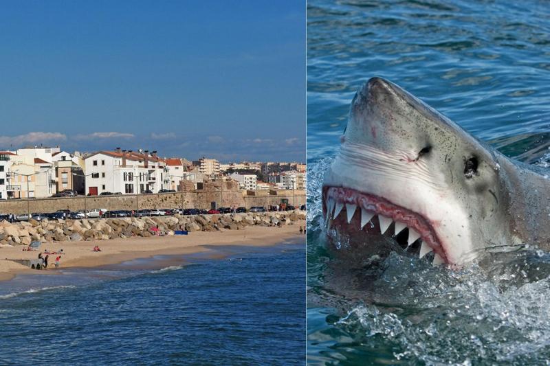 Nurkowanie w Portugalii