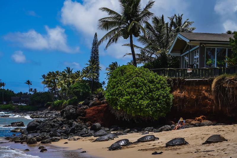 Przesiadki na Hawajach