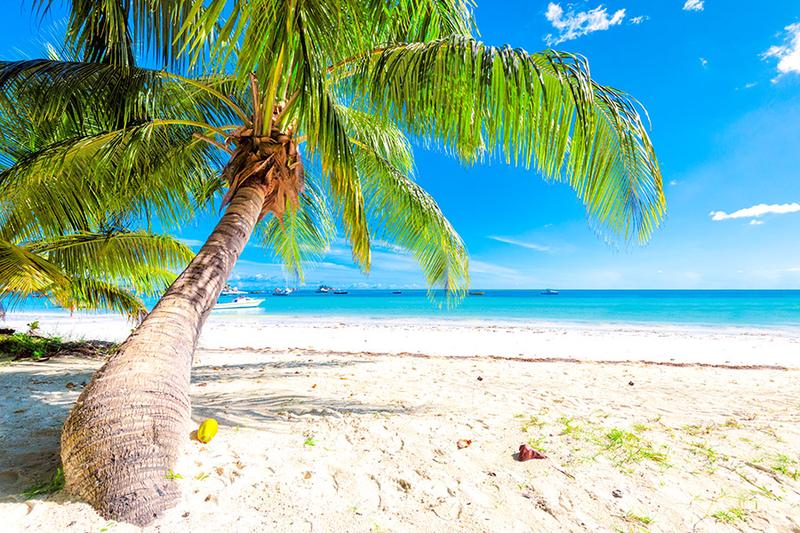 Bezpieczeństwo na Jamajce