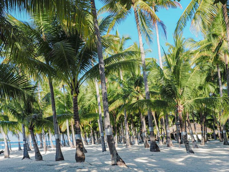 Ciepłe kierunki w listopadzie