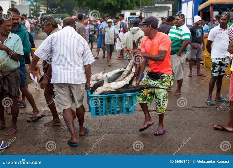 Przygotowanie do nurkowania