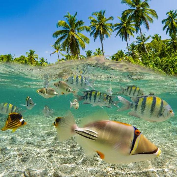 Trasy przelotu Fidżi