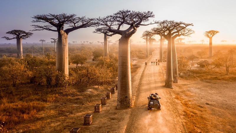 Święta i festiwale na Madagaskarze