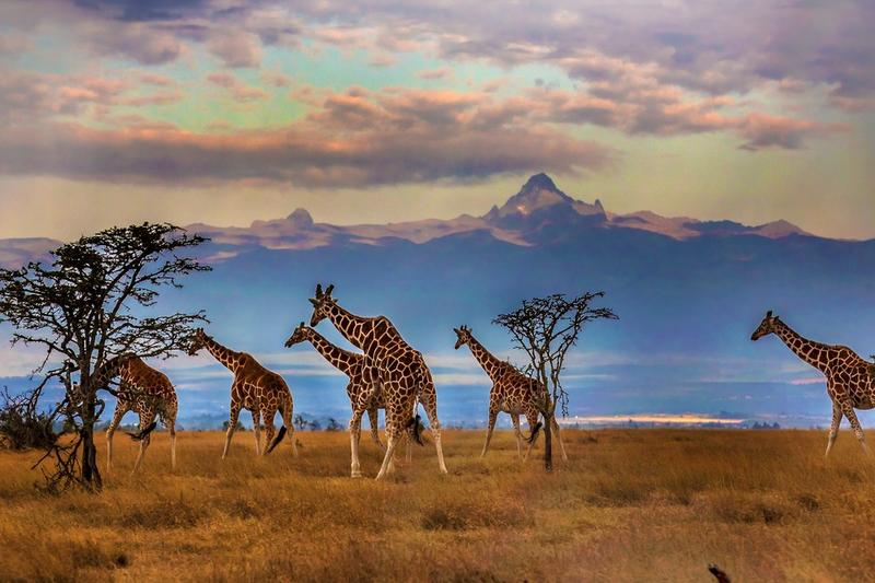 Jak samodzielnie zaplanować kenie – krok po kroku do sukcesu