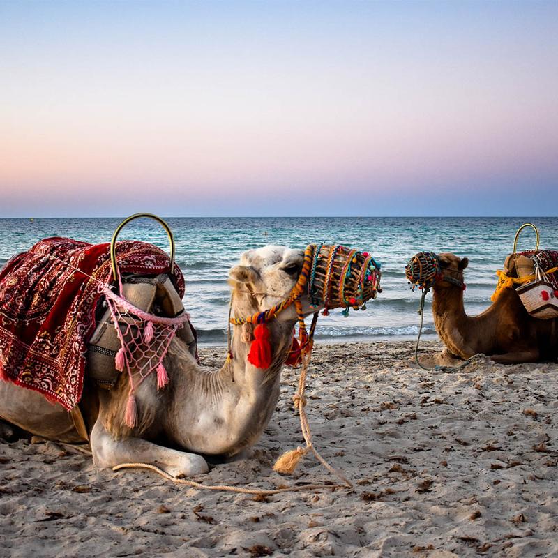 Kiedy podróżować do Tunezji