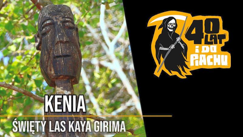 Niezbędne akcesoria na safari