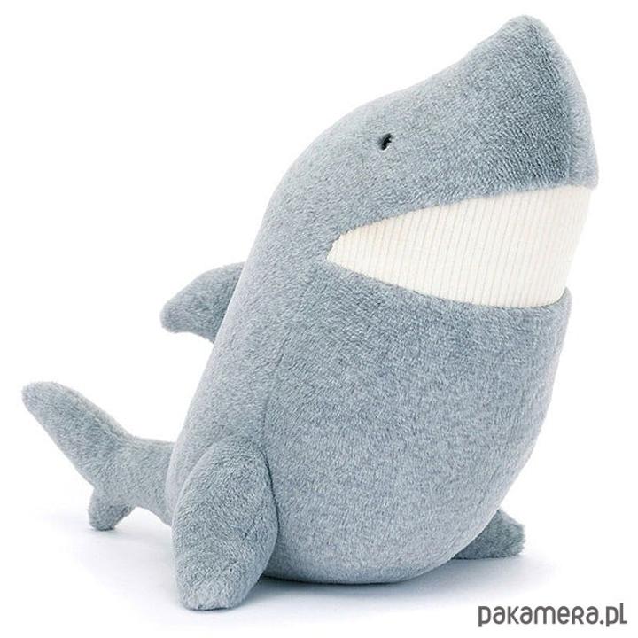 Ochrona rekinów i bioróżnorodności