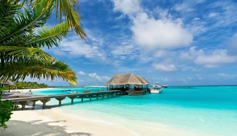 Malediwy i rekiny – co warto wiedzieć przed nurkowaniem?
