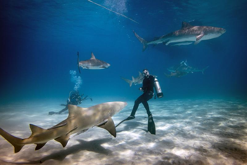Bezpieczeństwo nurkowania w Tunezji