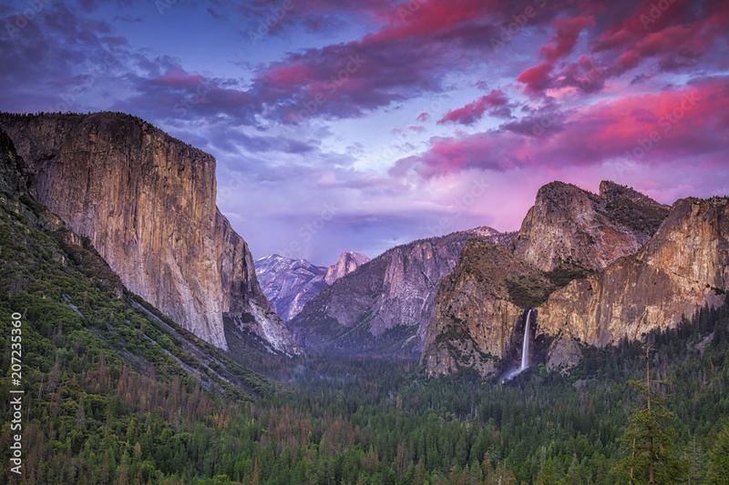 Flora i fauna Yosemite
