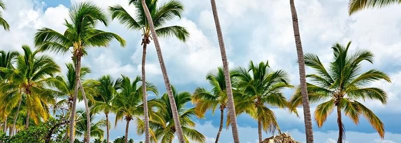 Idealny czas na Dominikanę – kiedy warto zaplanować wymarzone wakacje?