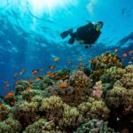 Kiedy warto odwiedzić Marsa El Alam? Sprawdź prognozy pogody!