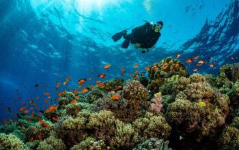 Kiedy warto odwiedzić Marsa El Alam? Sprawdź prognozy pogody!