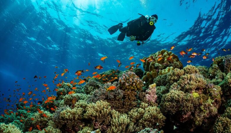 Kiedy warto odwiedzić Marsa El Alam? Sprawdź prognozy pogody!