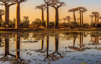 Madagaskar – najlepszy czas na podróż w poszukiwaniu przygód