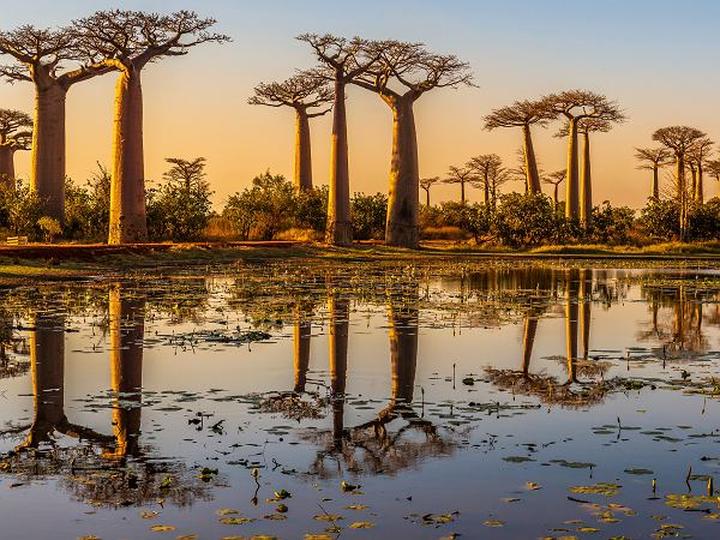 Madagaskar – najlepszy czas na podróż w poszukiwaniu przygód