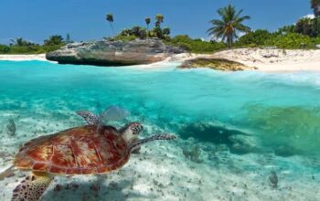 Odkryj Meksyk na własną rękę: jak zaplanować wymarzoną podróż?