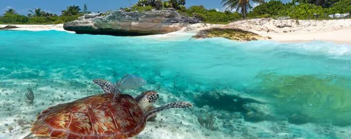 Odkryj Meksyk na własną rękę: jak zaplanować wymarzoną podróż?