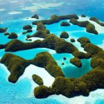 Rekiny w raju: Co warto wiedzieć o urokach Wysp Marshalla