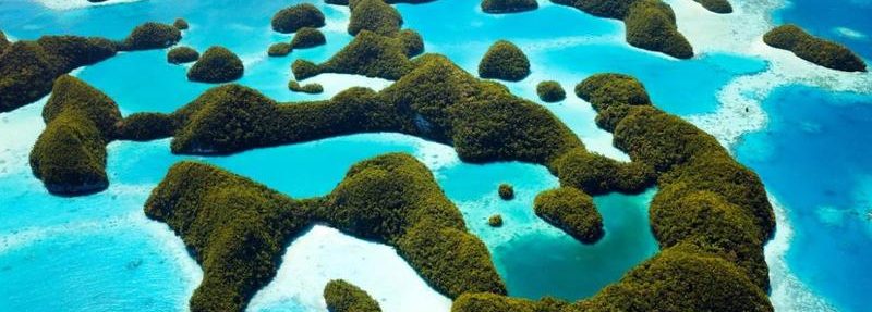 Rekiny w raju: Co warto wiedzieć o urokach Wysp Marshalla