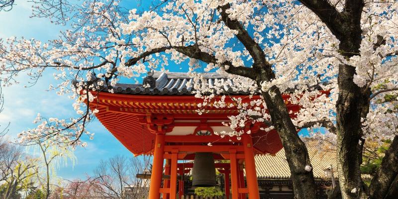 Ceny biletów do Japonii