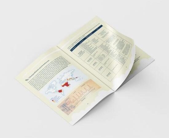 Ciąża: Co warto mieć ze sobą w szpitalu? Praktyczny przewodnik dla przyszłych mam