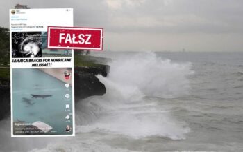 Rekiny na Jamajce – czy warto się ich obawiać?