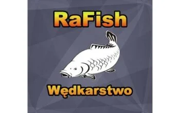 Co musisz wiedzieć o tym, jak działa bilet 24h?