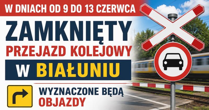 Bezpieczny transport żółwia