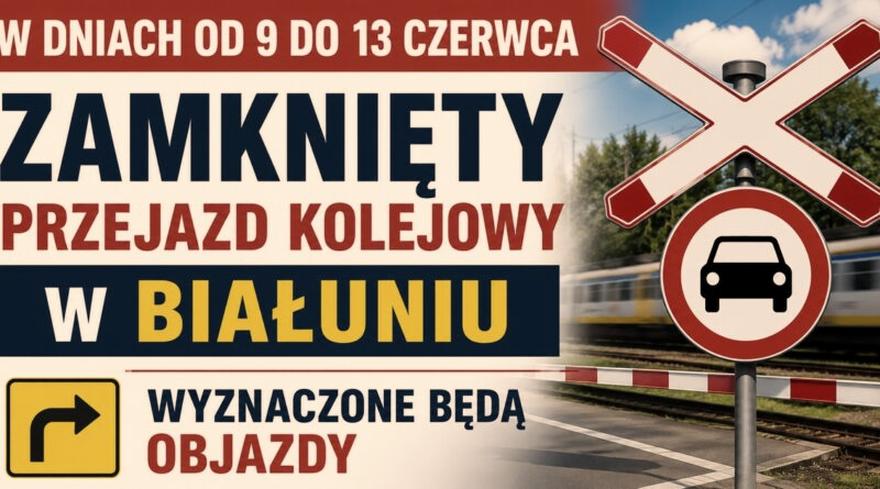 Odpowiedni pojemnik dla żółwia