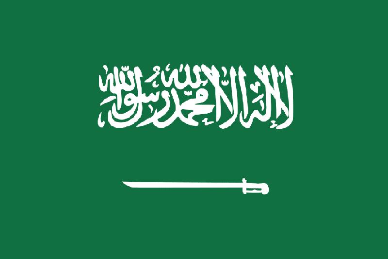 Wiza do Arabii Saudyjskiej