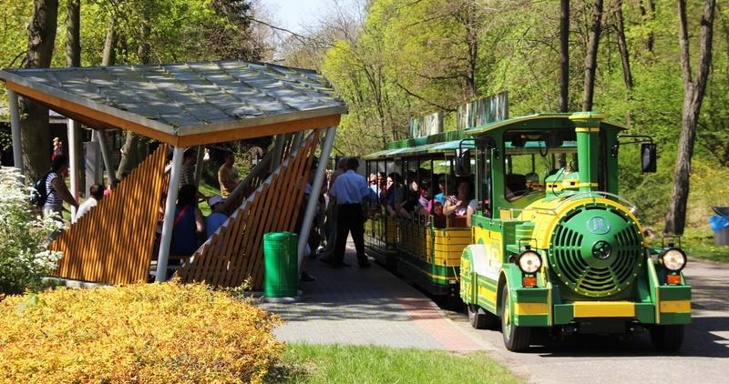Jak dojechać z dworca PKP do Nowego Zoo w Poznaniu: szybkie i wygodne opcje