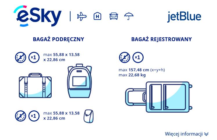 Koszt bagażu rejestrowanego