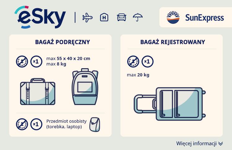 Opłaty za bagaż rejestrowany