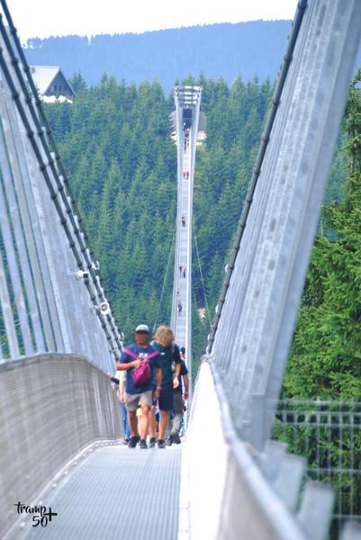 Sky Bridge 721