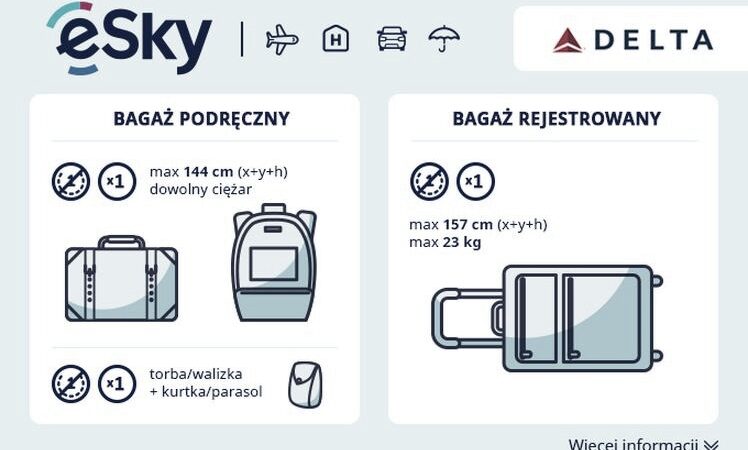 Ile kosztuje bagaż rejestrowany — opłaty i przykładowe ceny